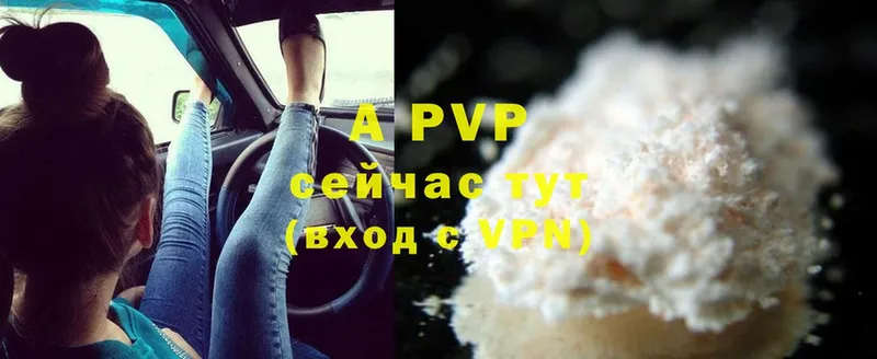 A PVP СК КРИС  Алагир 