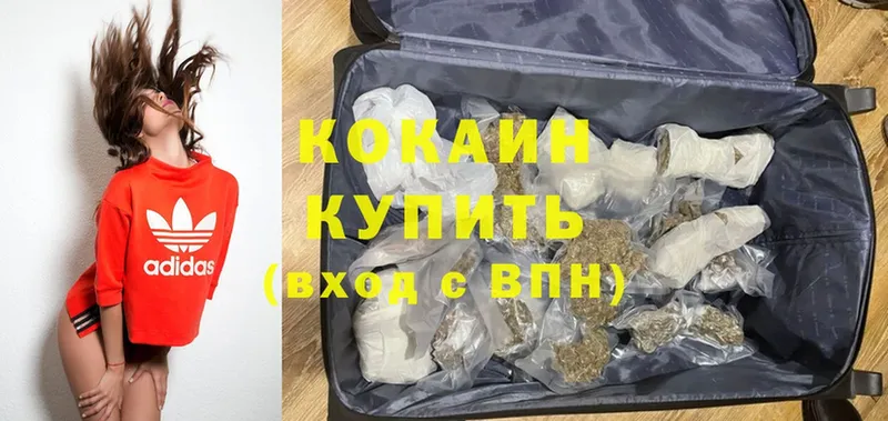 магазин  наркотиков  Алагир  ссылка на мегу как зайти  COCAIN Fish Scale 