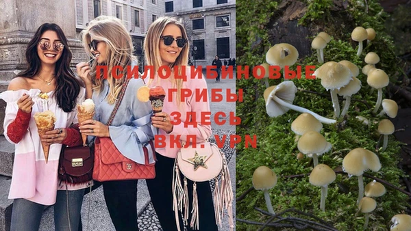 гидра Осинники