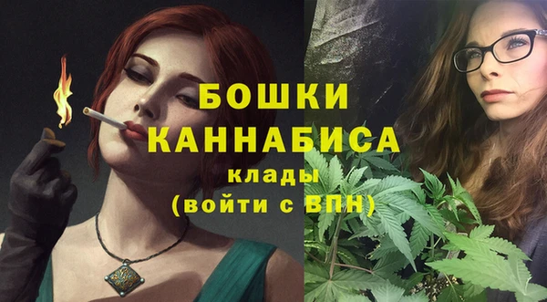 гидра Осинники